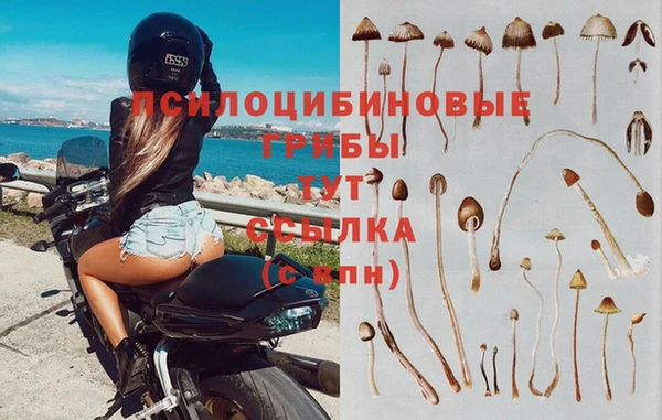 твердый Лагань