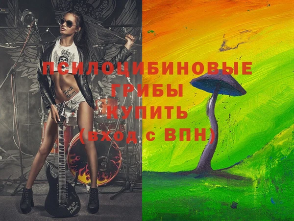 гашик Кукмор