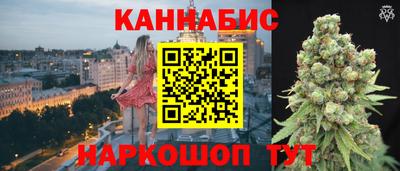 сатива Краснознаменск