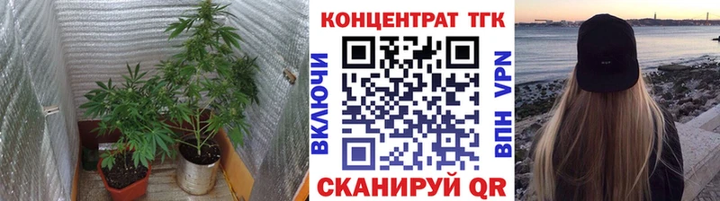 ТГК гашишное масло  гидра зеркало  Михайловка  наркота 