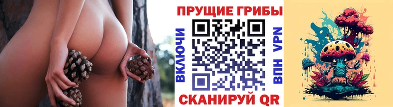 Псилоцибиновые грибы прущие грибы  Михайловка 