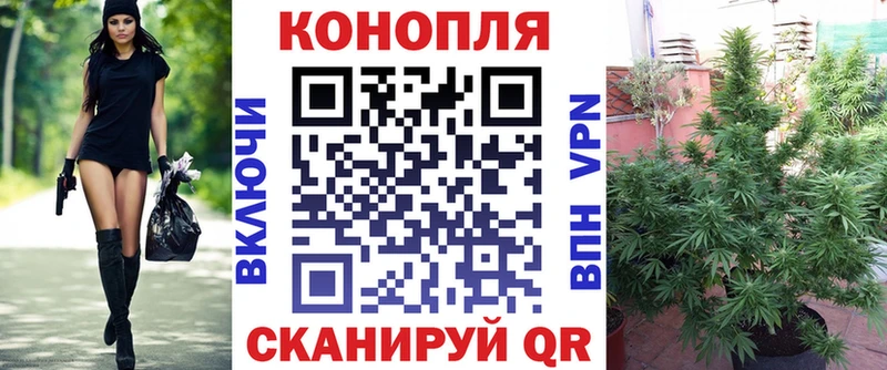 купить закладку  Михайловка  Бошки марихуана White Widow 